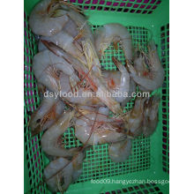 Frozen King Banana Prawn Price